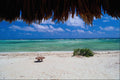 647014 Beach, East Cozumel A4 Photo Print