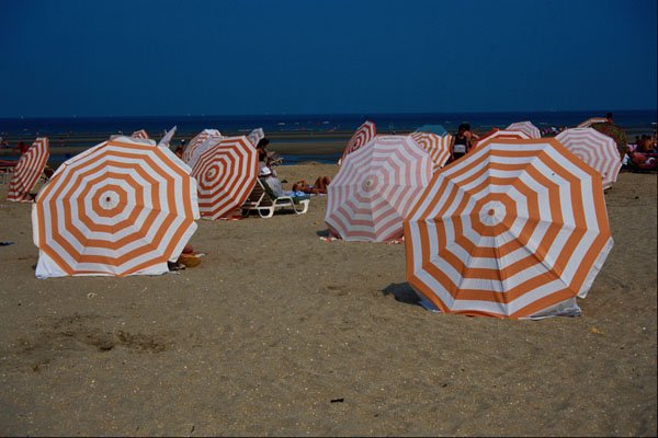 647047 Beach Umbrellas In De Panne, Bruges, Belgium A4 Photo Print