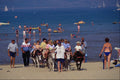 647065 Donkey Rides, Weymouth Beach A4 Photo Print
