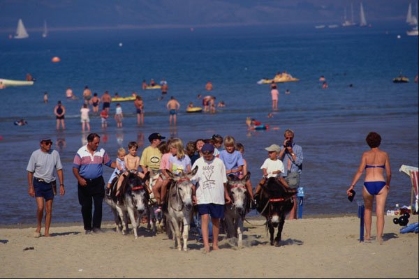 647065 Donkey Rides, Weymouth Beach A4 Photo Print