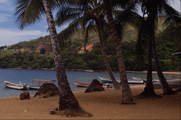 647069 Tranquill Beach, Venezuela A4 Photo Print