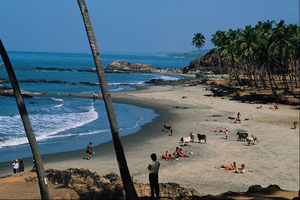 647078 Vegator Beach, Goa, India A4 Photo Print