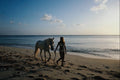 647089 Paradise Beach, Barbados A4 Photo Print