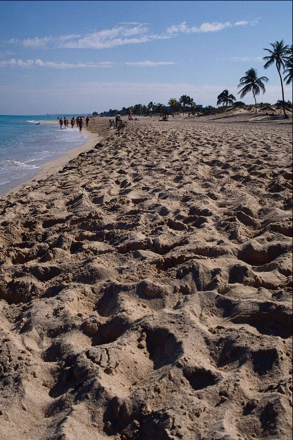 647091 Playa De L'Este A4 Photo Print