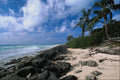 647095 Deserted Beach, New Providence, Nassau, Bahamas A4 Photo Print