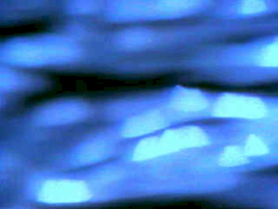 6473001980s 1990s A4 Photo Print
