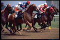 648001 And They're Off..., Pimlico Race Course, Baltimore, MD A4 Photo Print