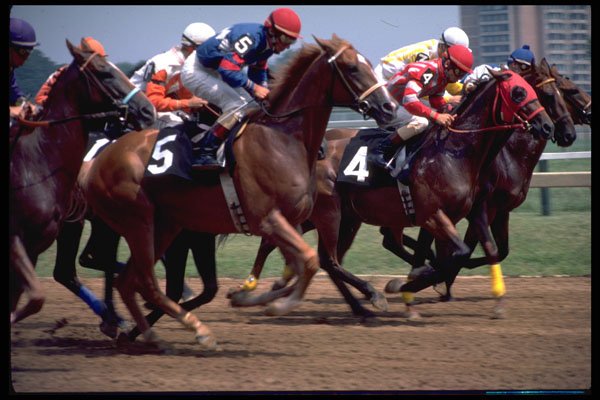 648001 And They're Off..., Pimlico Race Course, Baltimore, MD A4 Photo Print