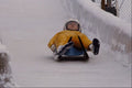 648002 Luge, Women's Single A4 Photo Print