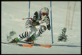 648030 Michael Gerg, German Ski Team, 1994 A4 Photo Print