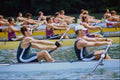 648048 Rowing From Starting Gates, Men's Eights, Ontario, Canada A4 Photo Print