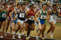 648058 Men's 1500m Semi final, British Championships, England A4 Photo Print