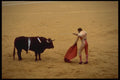 649000 First Bullfight Of The Season, Preparing To Kill A4 Photo Print
