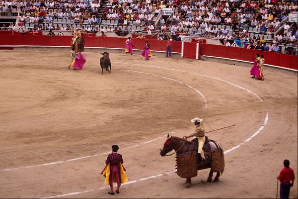 649007 Corrida, Barcelona, Spain A4 Photo Print