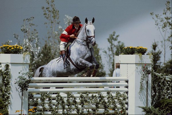 649032 Equestrian, Grand Prix Jumps A4 Photo Print