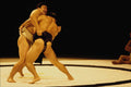 649068 Sumo Wrestlers, Japanese Masters, Martial Arts Display A4 Photo Print
