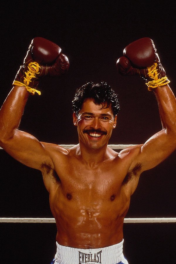 649073 Boxer A4 Photo Print