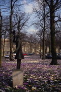 650001 Springtime In The Lange Voorhout Area, Netherlands A4 Photo Print
