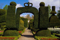 650005 Topiary Garden, Levens Hall, Cumbria, England A4 Photo Print