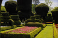 650006 Topiary Garden, Levens Hall, Cumbria, England A4 Photo Print