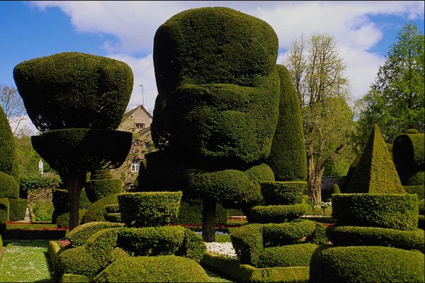 650007 Topiary Garden, Levens Hall, Cumbria, England A4 Photo Print