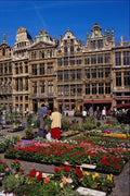 650011 Grand Place, Brussels, Belgium A4 Photo Print