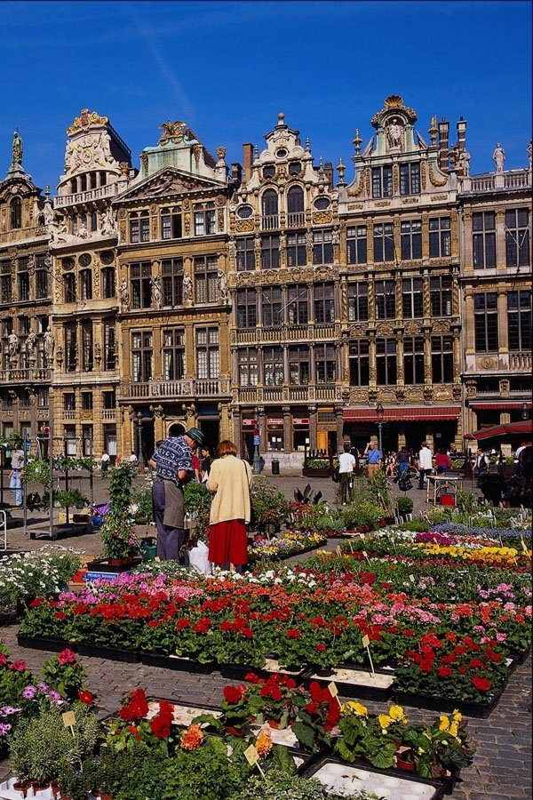 650011 Grand Place, Brussels, Belgium A4 Photo Print