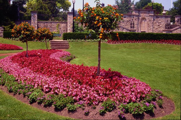 650024 Muir Gardens, Toronto, Ontario A4 Photo Print