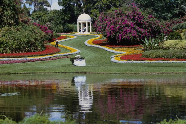 650029 Cyprus Gardens, Florida, U.S.A. A4 Photo Print