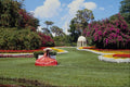 650030 Cyprus Gardens, Florida, U.S.A. A4 Photo Print