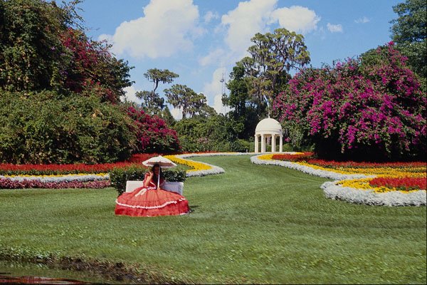 650030 Cyprus Gardens, Florida, U.S.A. A4 Photo Print