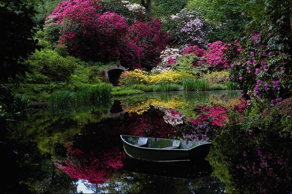 650035 Ramster Gardens, Chiddingfold, Surrey, England A4 Photo Print