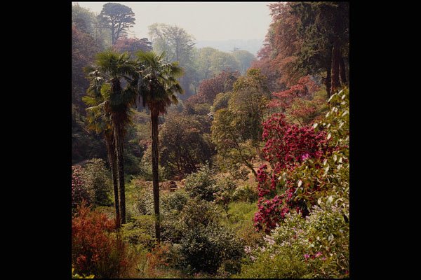 650041 Trebath Gardens At Mawnan Smith, Cornwall, England A4 Photo Print