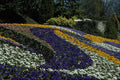 650045 Flowerbed, Mainau, Germany A4 Photo Print
