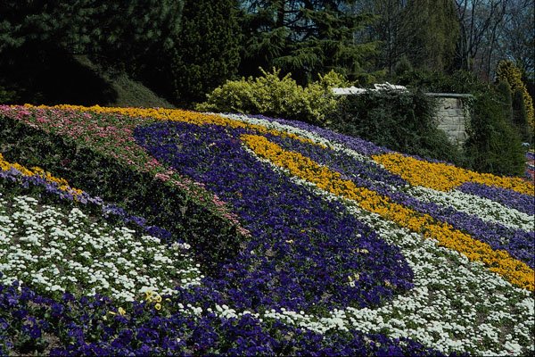 650045 Flowerbed, Mainau, Germany A4 Photo Print