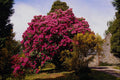650047 Glengarry Parish Church, Scotland A4 Photo Print