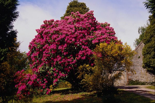 650047 Glengarry Parish Church, Scotland A4 Photo Print