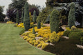 650054 Conifer Garden A4 Photo Print