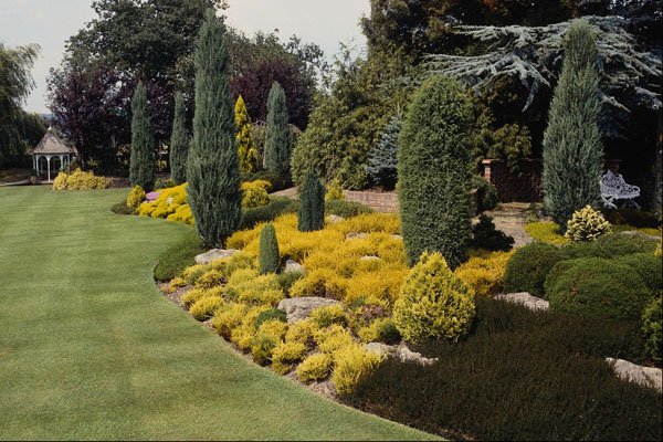 650054 Conifer Garden A4 Photo Print