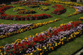 650057 General Garden A4 Photo Print