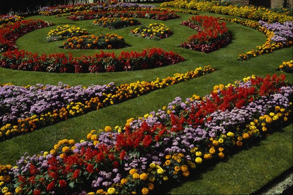 650057 General Garden A4 Photo Print