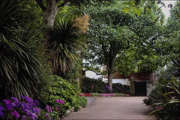 650064 Town Gardens At St. Ives, Cornwall, England A4 Photo Print