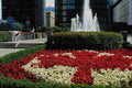 650096 Red And White Maple Leaf Display, Vancouver, Canada A4 Photo Print