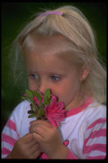 651041 Three Year Old Smelling Azalea Flowers, Upstate New York A4 Photo Print