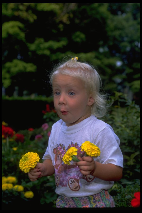 651042 Two Year Old Holding Flowers, New York A4 Photo Print
