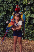 651048 For The Birds A4 Photo Print