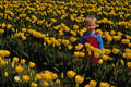 651049 Daffodils And Andrew A4 Photo Print