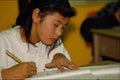 651054 Cree Schoolchild A4 Photo Print