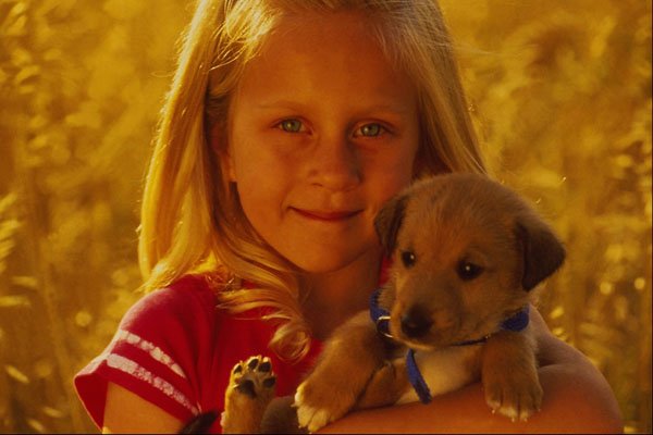 651067 Child With Puppy A4 Photo Print