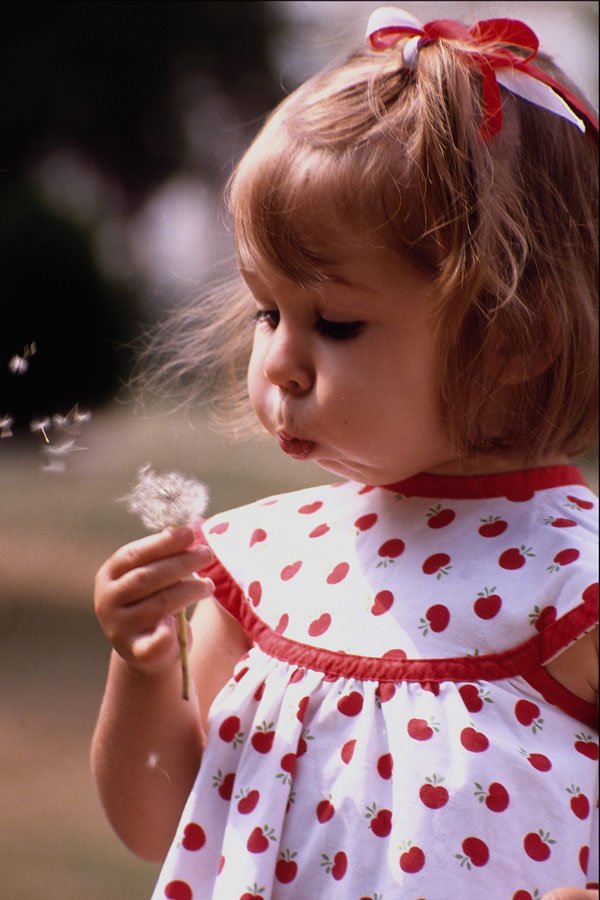 651088 Caroline Blowing The Seeds Of A Dandelion A4 Photo Print